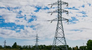 Avanzan en proyectos del raleado Fondo de Resarcimiento