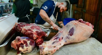 Afirman que el precio de la carne seguirá en alza