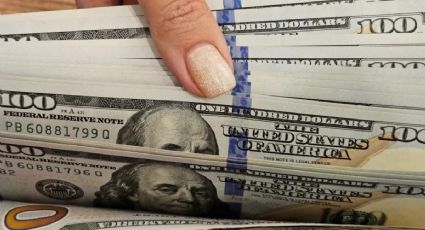 El dólar oficial cerró con leve baja