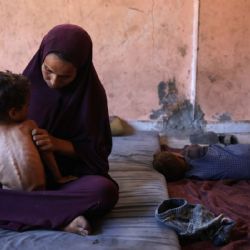 Cinco muertos en Gaza al ir a buscar comida