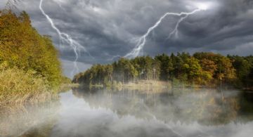 El asesino silencioso de los bosques