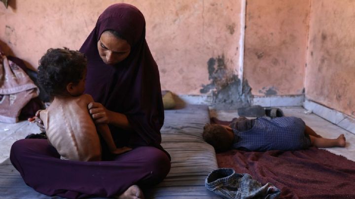 Cinco muertos en Gaza al ir a buscar comida