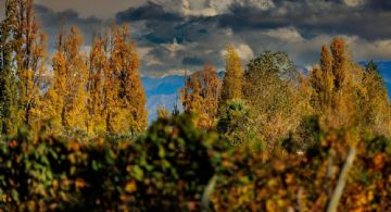 Mejora el tiempo en Mendoza y sube la temperatura