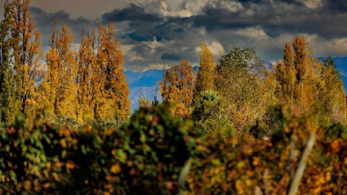 Mejora el tiempo en Mendoza y sube la temperatura