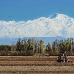 Despertar fresco y tarde primaveral: se espera un miércoles de sol
