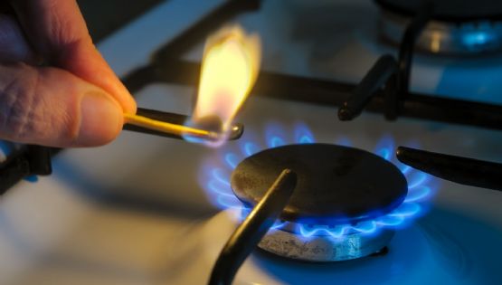 Oficial, un solo organismo controlará la luz y el gas
