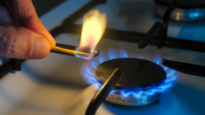 Oficial, un solo organismo controlará la luz y el gas