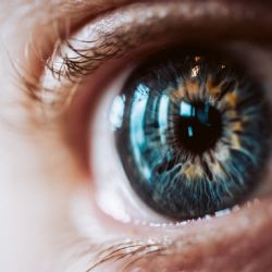 Recuperó la vista gracias a una innovadora terapia