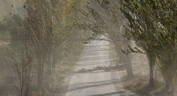 Zonda: suspendieron las clases presenciales en General Alvear, San Rafael y Malargüe