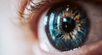 Recuperó la vista gracias a una innovadora terapia