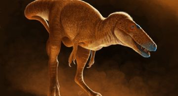 El nuevo tiranosaurio que reescribe la historia del T-rex