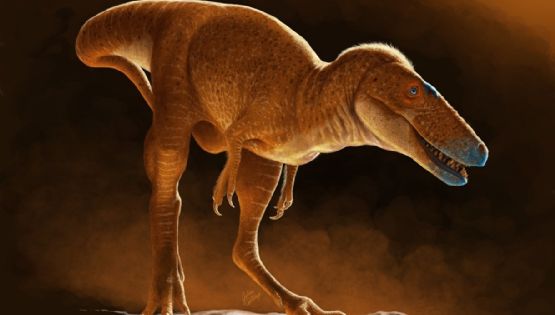 El nuevo tiranosaurio que reescribe la historia del T-rex