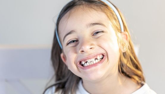 ¿Exclusivos de humanos? Descubre su vital función