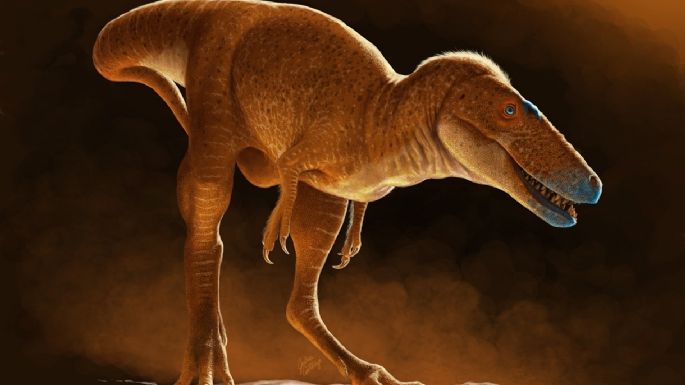 El nuevo tiranosaurio que reescribe la historia del T-rex