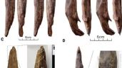 Foto ilustrativa de la nota titulada: Sin precedentes: descubren herramientas de hace 300 mil años
