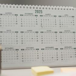 Post 9 de Julio: cuántos fines de semana largos le quedan al 2025