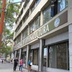 Cambios en el INV: la posición de la vitivinicultura argentina