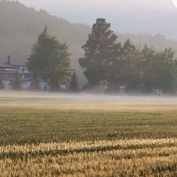 Chile firmó el decreto de expropiación de Colonia Dignidad