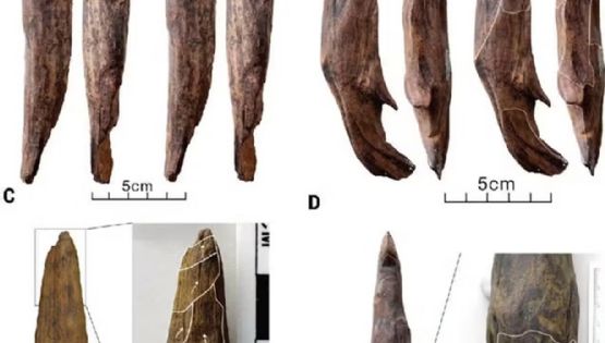 Sin precedentes: descubren herramientas de hace 300 mil años
