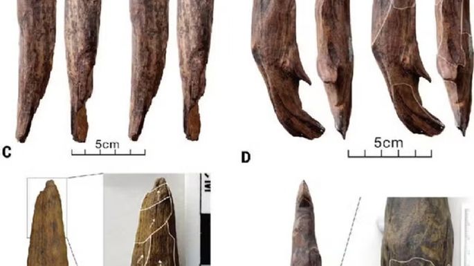 Sin precedentes: descubren herramientas de hace 300 mil años