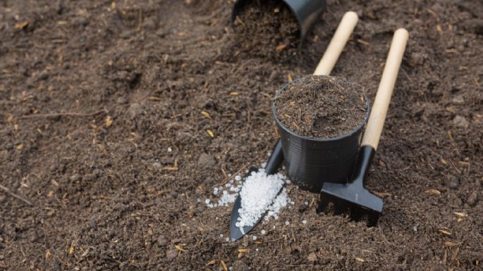 Cenizas en el jardín: un fertilizante natural para tus plantas