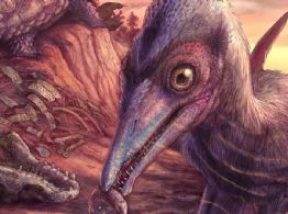 Hallan el fósil del dinosaurio más antiguo de Norteamérica