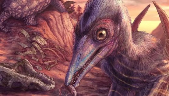 Hallan el fósil del dinosaurio más antiguo de Norteamérica