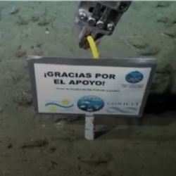 "Gracias por el apoyo": terminó el exitoso streaming del Conicet