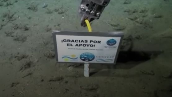 "Gracias por el apoyo": terminó el exitoso streaming del Conicet