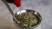 Foto ilustrativa de la nota titulada: Yerba mate: advierten que el sector “está en riesgo”
