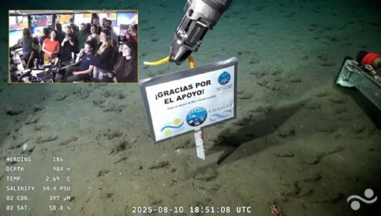 Con un emotivo video, los científicos del Conicet agradecieron el apoyo de los argentinos