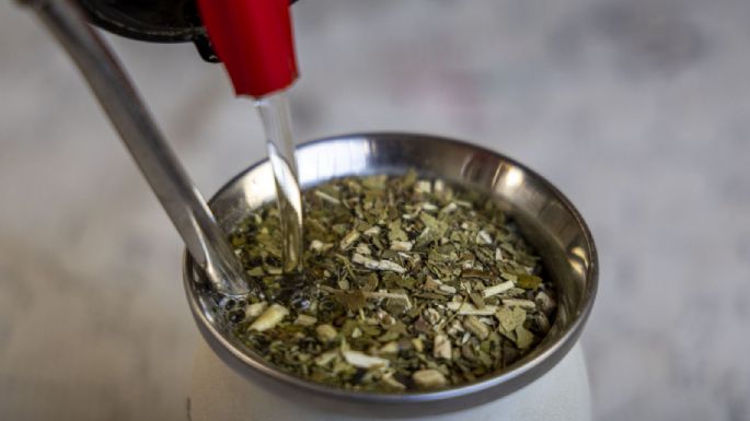 Yerba mate: advierten que el sector “está en riesgo”