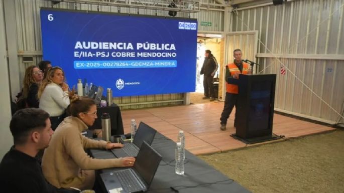 Audiencia Pública: entre verdades, falacias y maniobras dilatorias