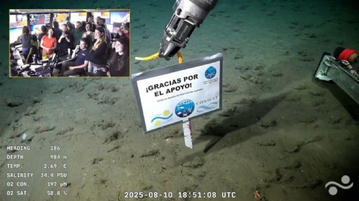Con un emotivo video, los científicos del Conicet agradecieron el apoyo de los argentinos