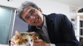 Foto ilustrativa de la nota titulada: El “gen naranja”: la mutación que explica el misterio de los gatos