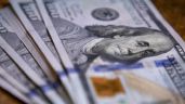 Foto ilustrativa de la nota titulada: El dólar se mantuvo estable y cerró en $1.455