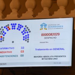 Autorizan un endeudamiento de 160 millones de dólares para Salud y Educación
