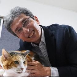 El “gen naranja”: la mutación que explica el misterio de los gatos