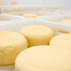 Brote de listeriosis por el consumo de un queso contaminado