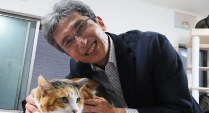 El “gen naranja”: la mutación que explica el misterio de los gatos