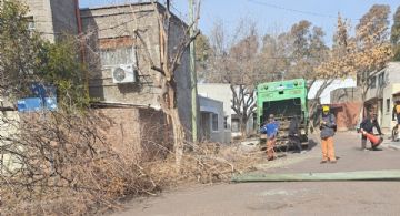 Reportan caos en un barrio de Luján por la poda de árboles