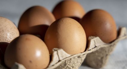 #ElijoCreer: la Argentina ya es el primer consumidor mundial de huevos