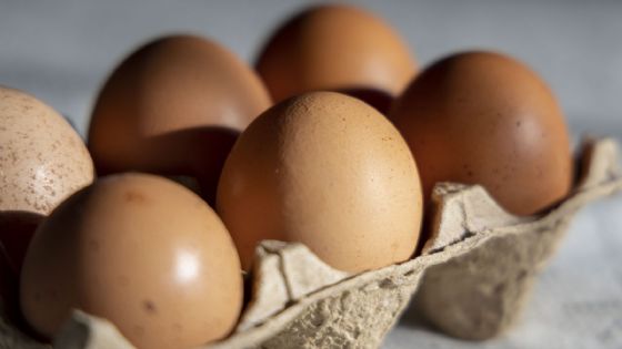El consumo de huevo llegó a un nivel récord en la Argentina