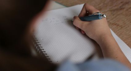 Según un estudio, Mendoza tiene menor nivel educativo que la media nacional
