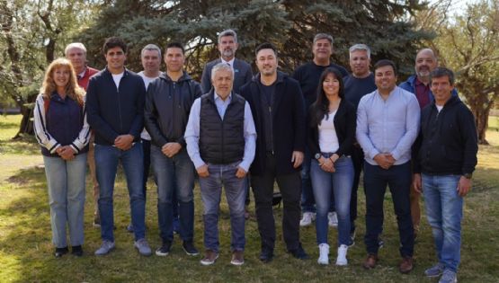 Para levantar en las encuestas, Petri será candidato a diputado nacional