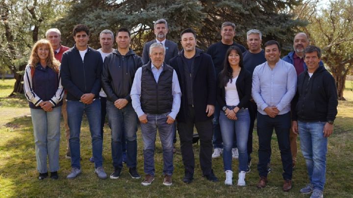 Para levantar en las encuestas, Petri será candidato a diputado nacional