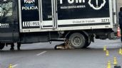 Foto ilustrativa de la nota titulada: Murió atropellado el día de su cumpleaños y su perro no se alejó de él
