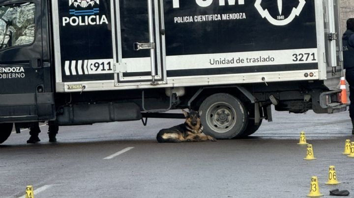 Murió atropellado el día de su cumpleaños y su perro no se alejó de él