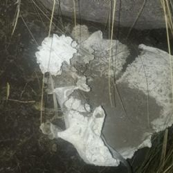 Los restos humanos hallados en El Nihuil serían de un niño y un adulto 