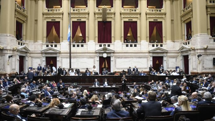 La oposición rechazó el veto a la emergencia en discapacidad